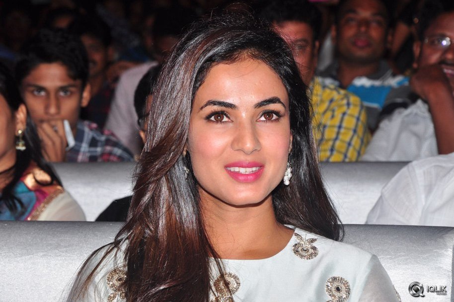 Sher-Movie-Audio-Launch